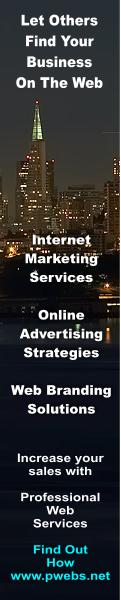 Professional Internet Marketing Services