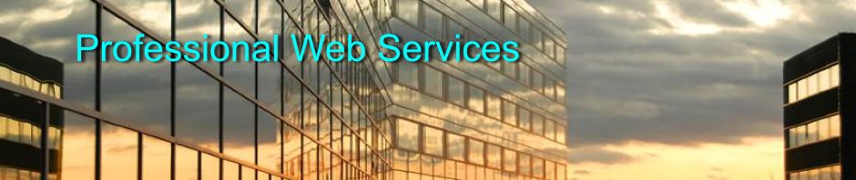 Professional Web Services SEO Internet Marketing Services